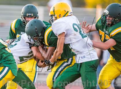 Thumbnail 3 in Argonaut @ Placer photogallery.
