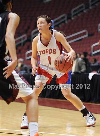 Thumbnail 1 in Mountain View vs. Hamilton (AIA D1 Semifinals) photogallery.