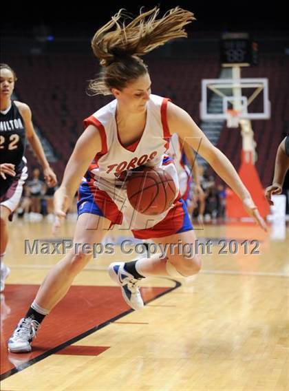 Thumbnail 2 in Mountain View vs. Hamilton (AIA D1 Semifinals) photogallery.