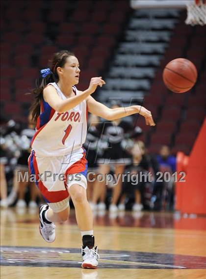 Thumbnail 1 in Mountain View vs. Hamilton (AIA D1 Semifinals) photogallery.