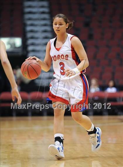 Thumbnail 1 in Mountain View vs. Hamilton (AIA D1 Semifinals) photogallery.
