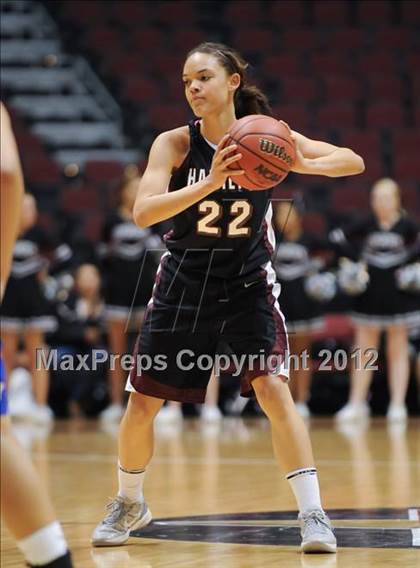 Thumbnail 1 in Mountain View vs. Hamilton (AIA D1 Semifinals) photogallery.