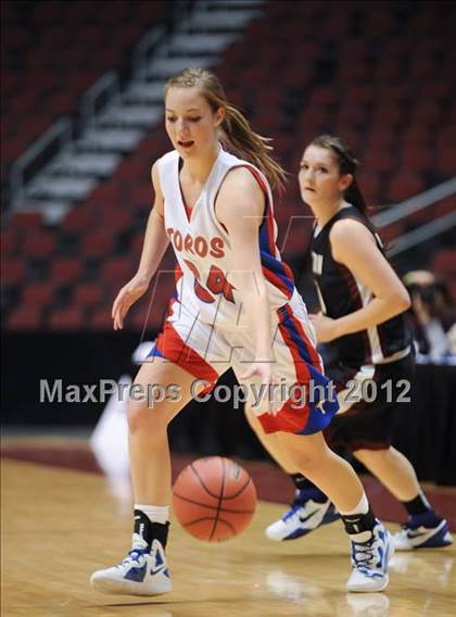 Thumbnail 1 in Mountain View vs. Hamilton (AIA D1 Semifinals) photogallery.