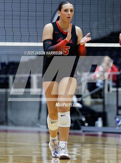 Thumbnail 3 in Cedar Park vs. Argyle (UIL 5A D1 Volleyball Final) photogallery.