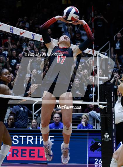 Thumbnail 2 in Cedar Park vs. Argyle (UIL 5A D1 Volleyball Final) photogallery.
