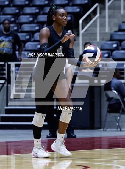 Thumbnail 1 in Cedar Park vs. Argyle (UIL 5A D1 Volleyball Final) photogallery.