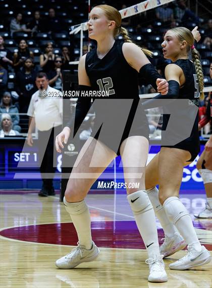 Thumbnail 1 in Cedar Park vs. Argyle (UIL 5A D1 Volleyball Final) photogallery.