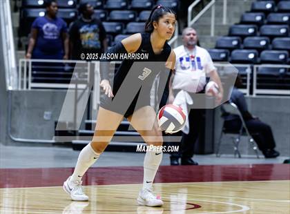 Thumbnail 2 in Cedar Park vs. Argyle (UIL 5A D1 Volleyball Final) photogallery.