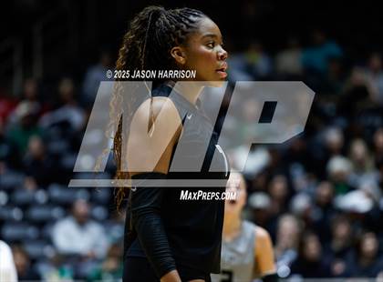 Thumbnail 2 in Cedar Park vs. Argyle (UIL 5A D1 Volleyball Final) photogallery.