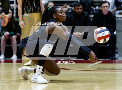 Thumbnail 2 in Cedar Park vs. Argyle (UIL 5A D1 Volleyball Final) photogallery.