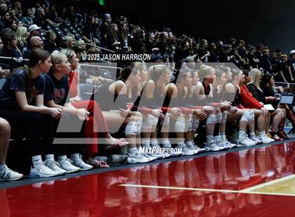 Thumbnail 2 in Cedar Park vs. Argyle (UIL 5A D1 Volleyball Final) photogallery.