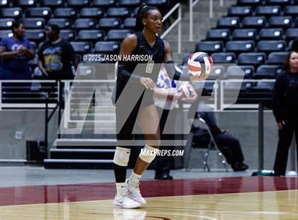 Thumbnail 1 in Cedar Park vs. Argyle (UIL 5A D1 Volleyball Final) photogallery.