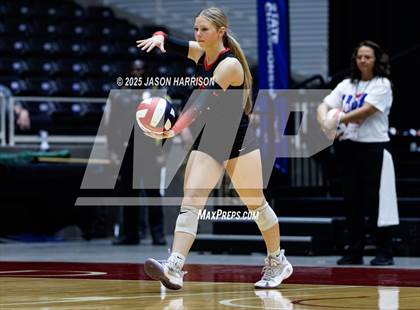 Thumbnail 1 in Cedar Park vs. Argyle (UIL 5A D1 Volleyball Final) photogallery.