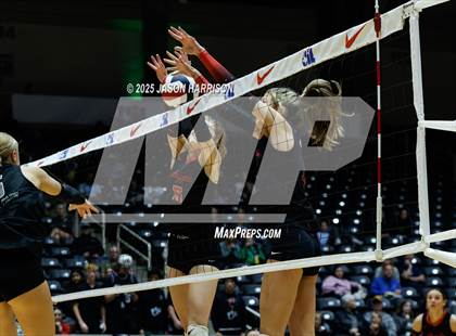 Thumbnail 2 in Cedar Park vs. Argyle (UIL 5A D1 Volleyball Final) photogallery.