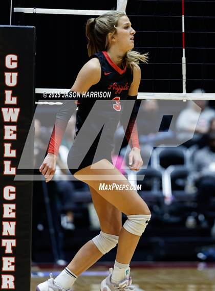 Thumbnail 1 in Cedar Park vs. Argyle (UIL 5A D1 Volleyball Final) photogallery.