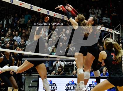Thumbnail 1 in Cedar Park vs. Argyle (UIL 5A D1 Volleyball Final) photogallery.