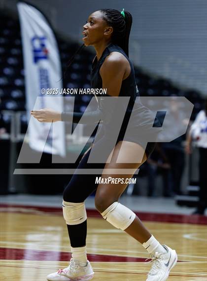 Thumbnail 1 in Cedar Park vs. Argyle (UIL 5A D1 Volleyball Final) photogallery.