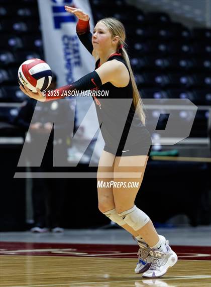 Thumbnail 2 in Cedar Park vs. Argyle (UIL 5A D1 Volleyball Final) photogallery.