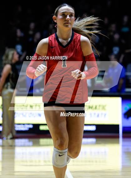 Thumbnail 1 in Cedar Park vs. Argyle (UIL 5A D1 Volleyball Final) photogallery.