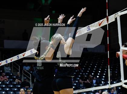 Thumbnail 3 in Cedar Park vs. Argyle (UIL 5A D1 Volleyball Final) photogallery.