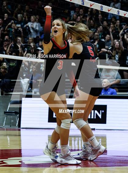 Thumbnail 3 in Cedar Park vs. Argyle (UIL 5A D1 Volleyball Final) photogallery.