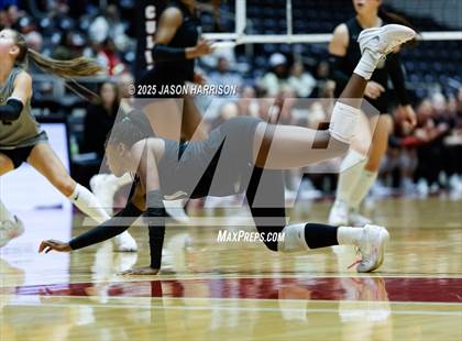 Thumbnail 3 in Cedar Park vs. Argyle (UIL 5A D1 Volleyball Final) photogallery.
