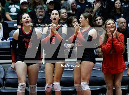 Thumbnail 2 in Cedar Park vs. Argyle (UIL 5A D1 Volleyball Final) photogallery.