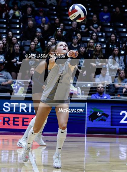 Thumbnail 3 in Cedar Park vs. Argyle (UIL 5A D1 Volleyball Final) photogallery.