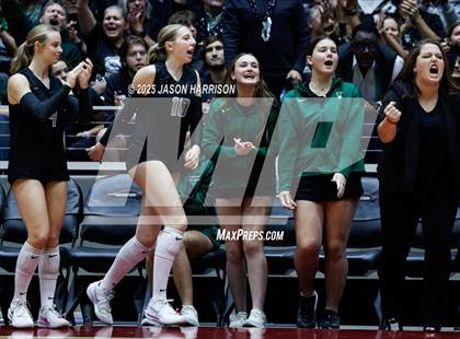 Thumbnail 1 in Cedar Park vs. Argyle (UIL 5A D1 Volleyball Final) photogallery.