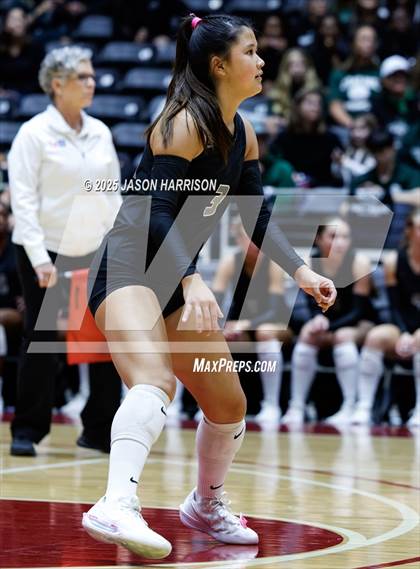Thumbnail 1 in Cedar Park vs. Argyle (UIL 5A D1 Volleyball Final) photogallery.