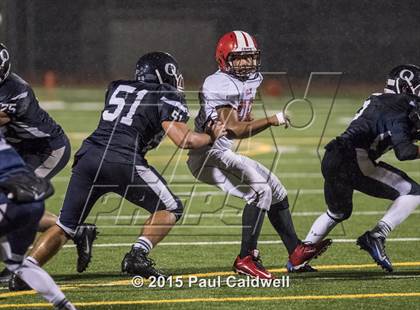 Thumbnail 1 in Yelm @ Olympia photogallery.