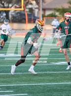 Photo from the gallery "Poly @ Damien"
