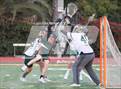 Photo from the gallery "Poly @ Damien"