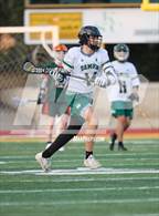 Photo from the gallery "Poly @ Damien"