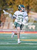 Photo from the gallery "Poly @ Damien"