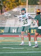 Photo from the gallery "Poly @ Damien"