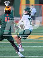 Photo from the gallery "Poly @ Damien"