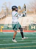 Photo from the gallery "Poly @ Damien"