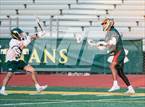 Photo from the gallery "Poly @ Damien"