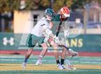 Photo from the gallery "Poly @ Damien"