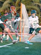 Photo from the gallery "Poly @ Damien"