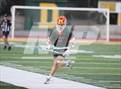 Photo from the gallery "Poly @ Damien"