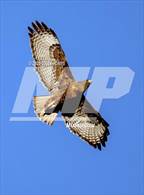 Photo from the gallery "Whitney @ Rocklin"