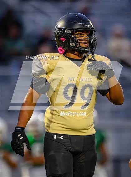 Thumbnail 1 in Mount Juliet @ Green Hill (JV) photogallery.