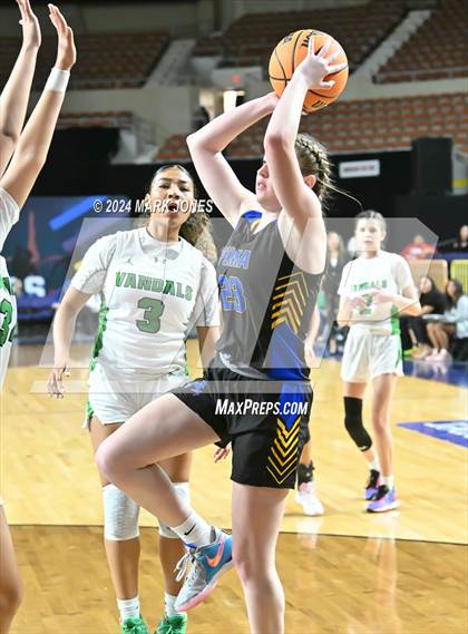 Thumbnail 1 in Miami vs. Pima (AIA 2A Semifinal) photogallery.