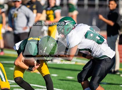 Thumbnail 3 in Pacifica @ Moorpark photogallery.