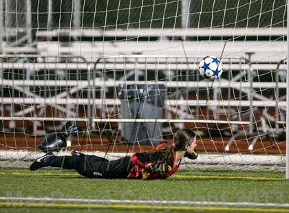 Thumbnail 2 in Curtis vs Skyline photogallery.