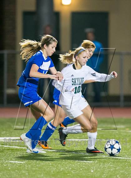 Thumbnail 1 in Curtis vs Skyline photogallery.