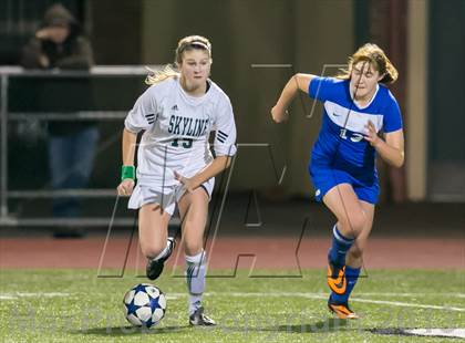 Thumbnail 2 in Curtis vs Skyline photogallery.