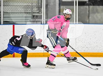 Thumbnail 1 in Pittsford @ Fairport photogallery.